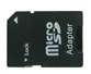 microSD to SD Adapter (for SD devices)